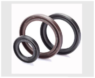 ROTARY SEALS